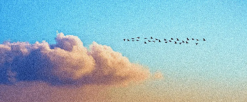 RL Swarm：协同强化学习的框架系统